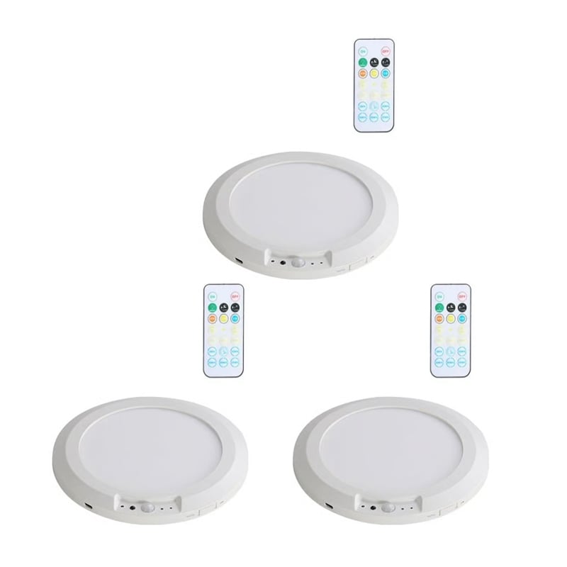Motion Sensor Ceiling Light