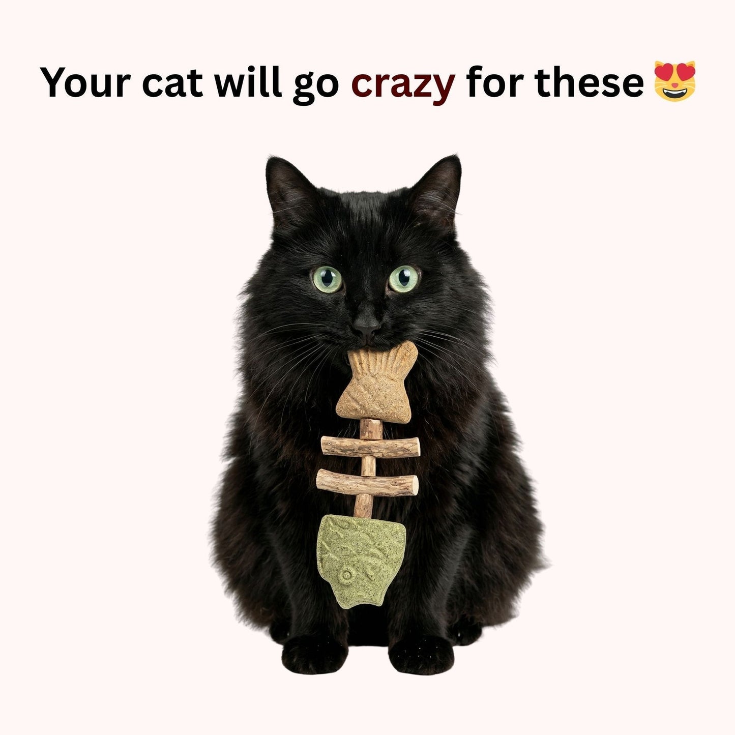 PurrGuard ā Catnip & Silvervine Dental Chew Sticks