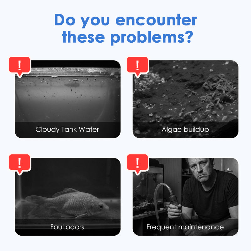 ClearBloom – Aquarium Water Clarifying Tablets