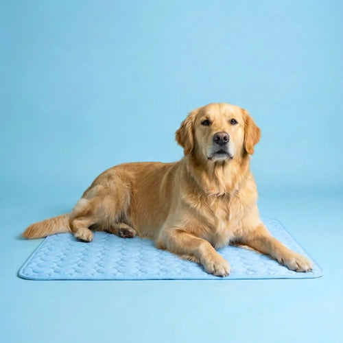 PolarComfort – Breathable Pet Cooling Bed