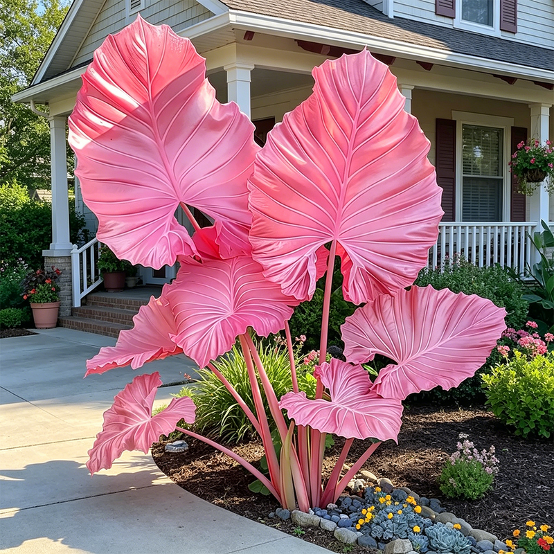 ColorBloom – Giant Multi-Color Caladiums Bulbs