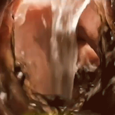 Pet Ear Cleaning Liquid
