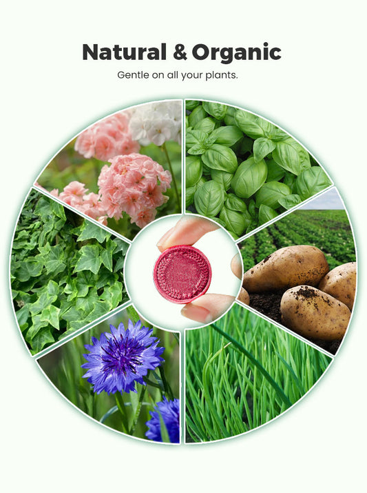 BloomFuel – Plant Growth Formula