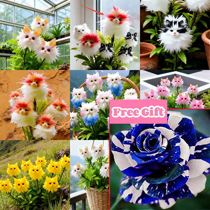 🔥 Enchant Your Garden! Magical Plants! Cat's Eye Dazzling Seeds !🌸✨