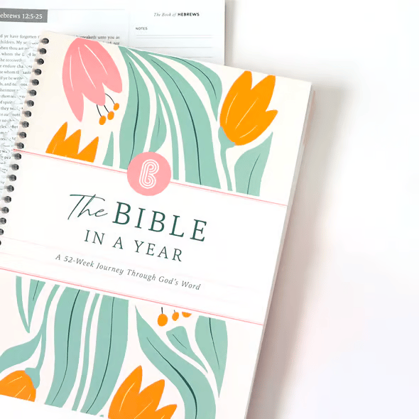 🔥LAST DAY 50% OFF -🙏🏼The Bible In A Year: A 52-Week Journey Through God's Word