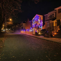 TwinkleHaven – Christmas LED House Net & Outdoor Curtain Lights