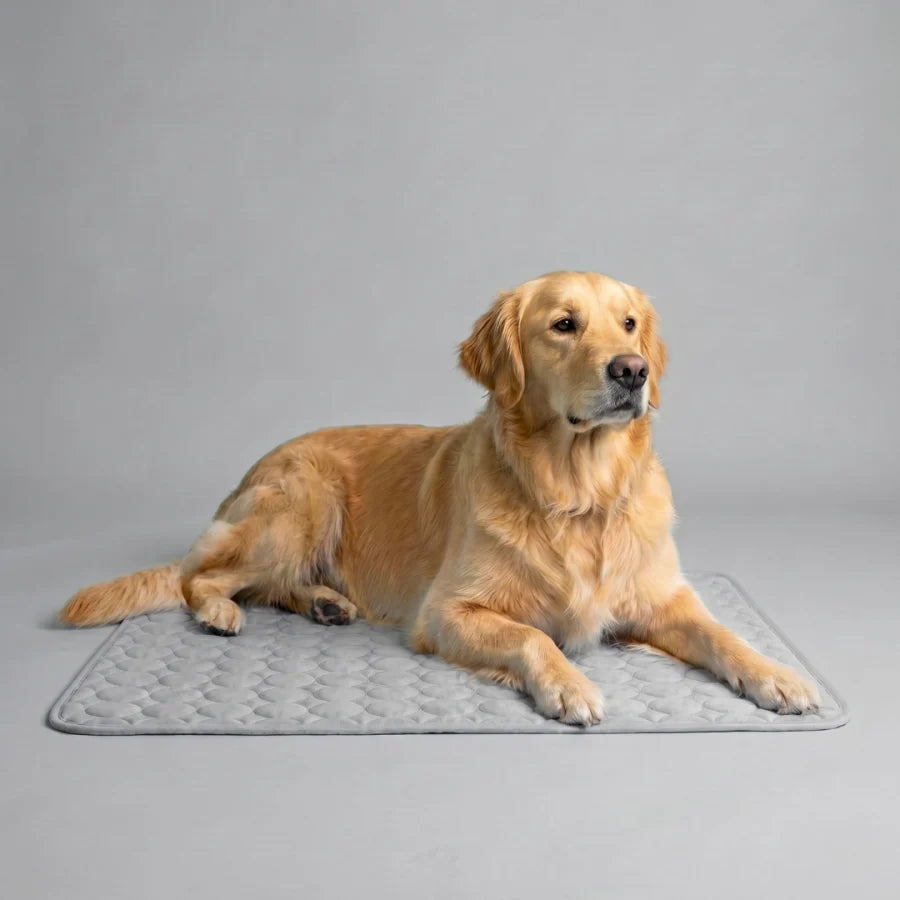 PolarComfort – Breathable Pet Cooling Bed