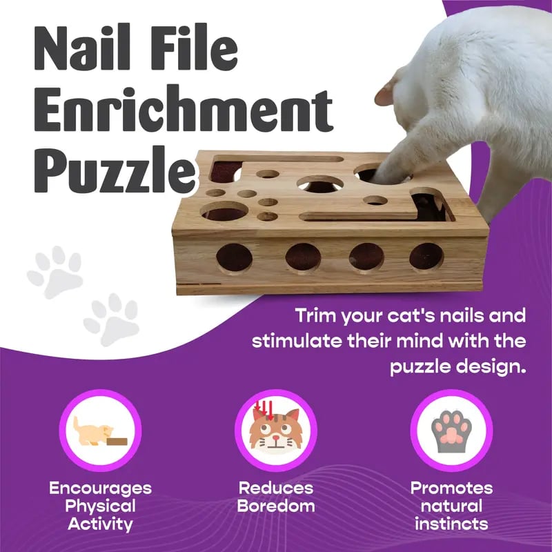 🎁😻Cat Scratch Puzzle Enrichment Box✨
