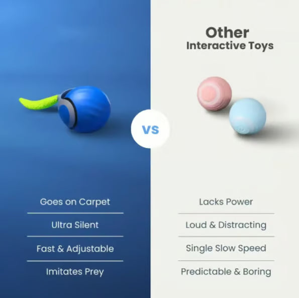 CatChase – Electric Rolling Ball