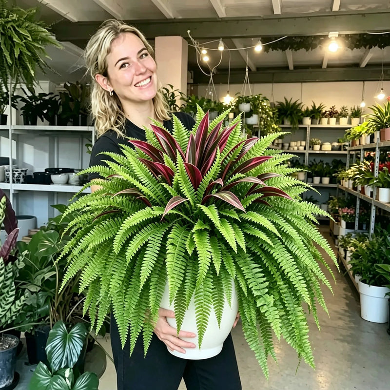 EverGreen – UV-Resistant Artificial Fern & Red Dracaena Plant