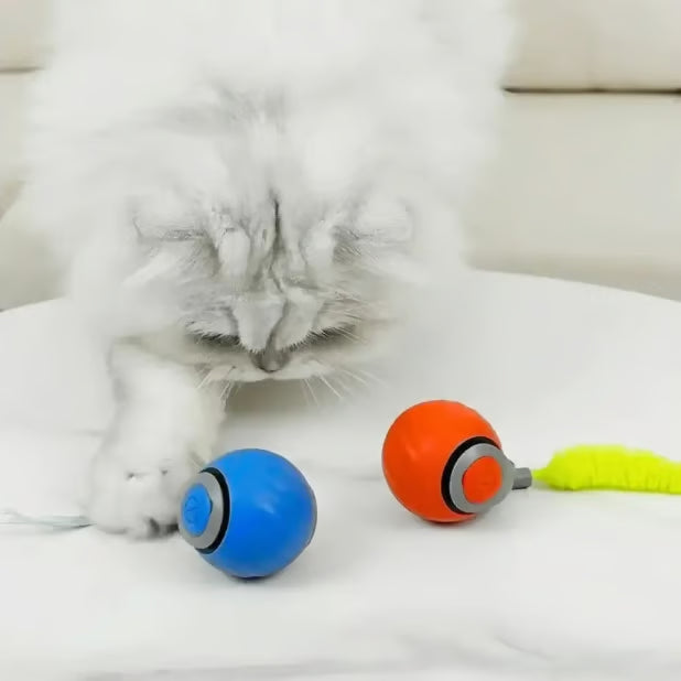 CatChase – Electric Rolling Ball