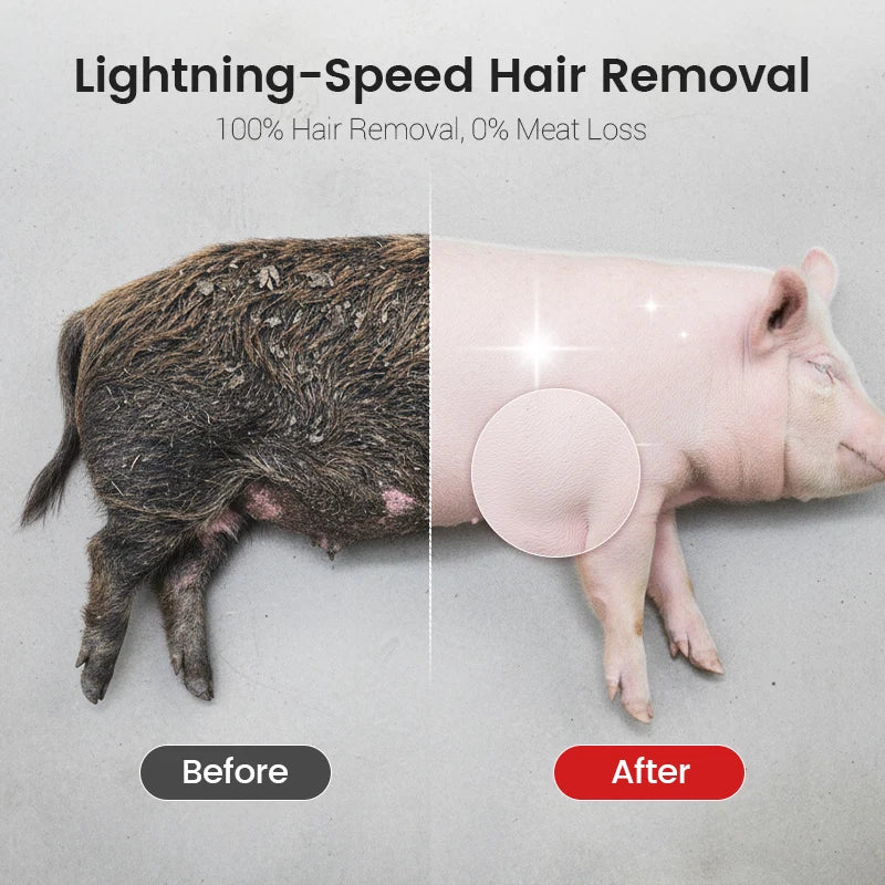 FarmEdge – Professional Pig Hair Removal Scraper Disc