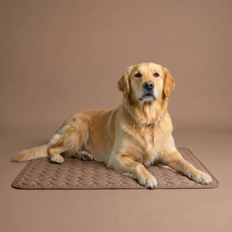 PolarComfort – Breathable Pet Cooling Bed