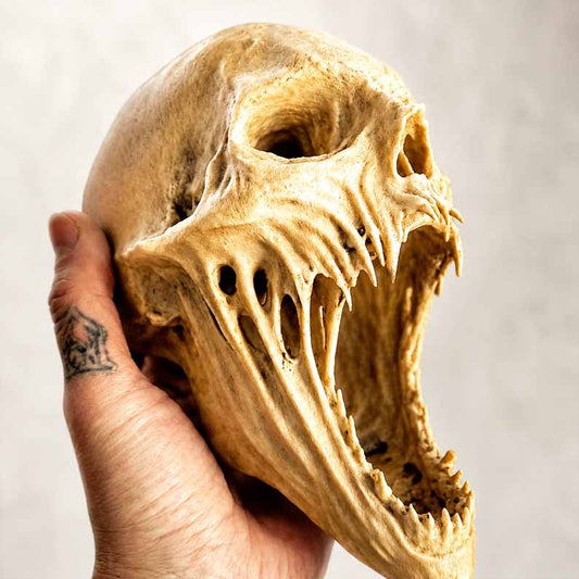 💀Last Day 60% OFF - Mushroom Body Planter
