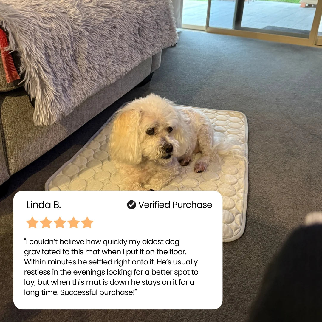 PolarComfort – Breathable Pet Cooling Bed