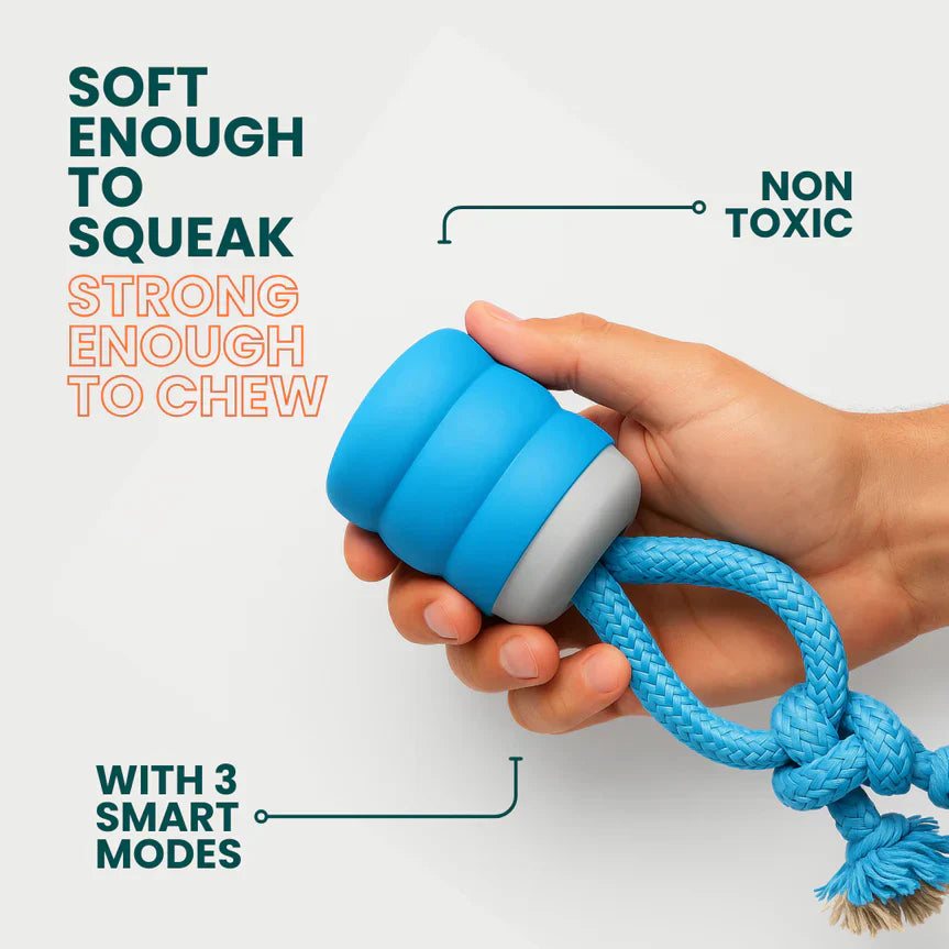 AuraBuddy – The Chase Buddy Smart Bouncing Dog Toy