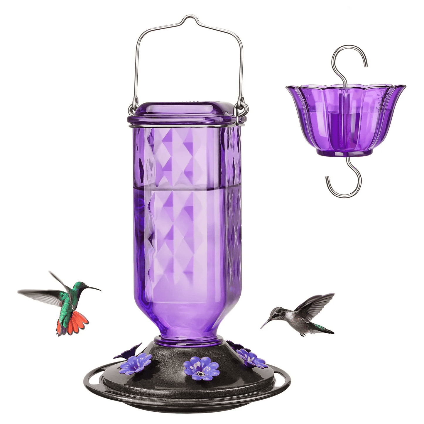 💥 Hummingbird Feeder