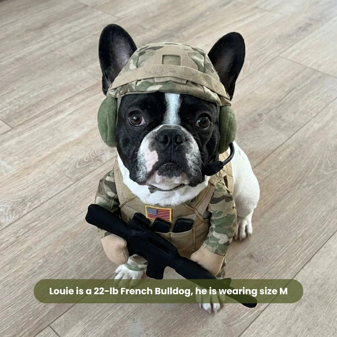 ValorPaws – Tactical Soldier Pet Costume
