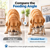 PawDine – Stainless Steel Bowl With Raised Stand