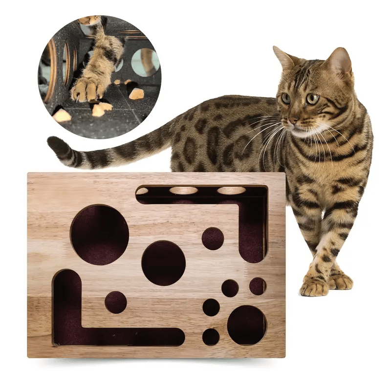 🎁😻Cat Scratch Puzzle Enrichment Box✨
