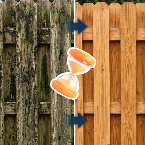 TerraShine – Outdoor Surface Cleaning Solution