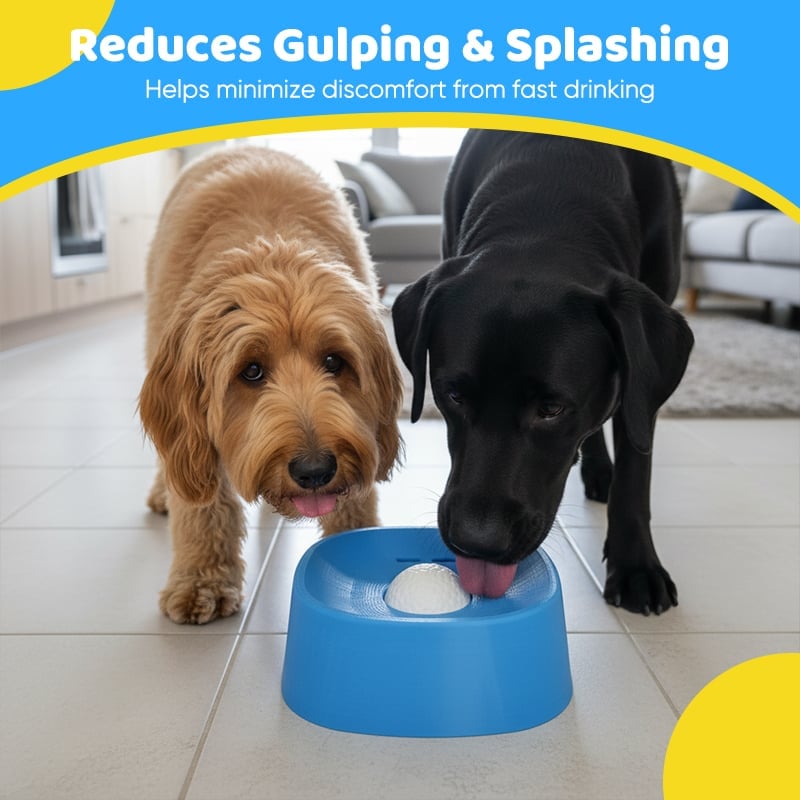 Slow-Feed Liquid Dog Bowls