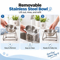 PawDine – Stainless Steel Bowl With Raised Stand