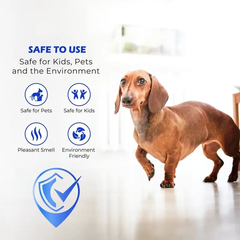 🔥Last Day 50% OFF - ✨🧴 Clean-llx Floor Restorer – Shine & Protect Instantly 🏠