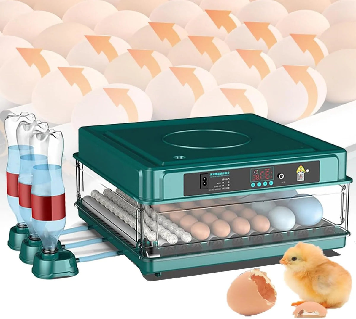 HatchVanta – 38-Egg Automatic Digital Egg Incubator