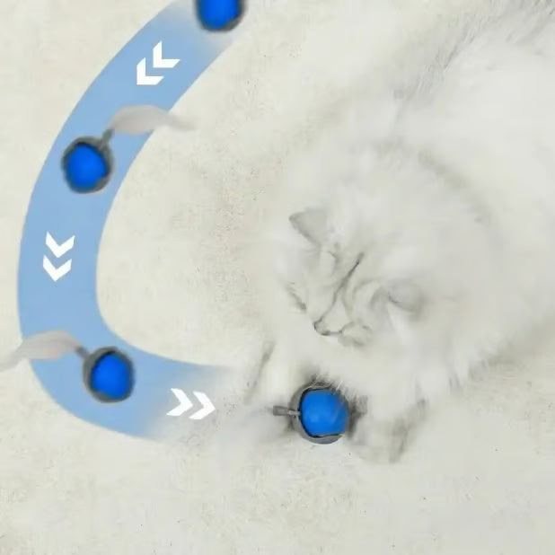 CatChase – Electric Rolling Ball