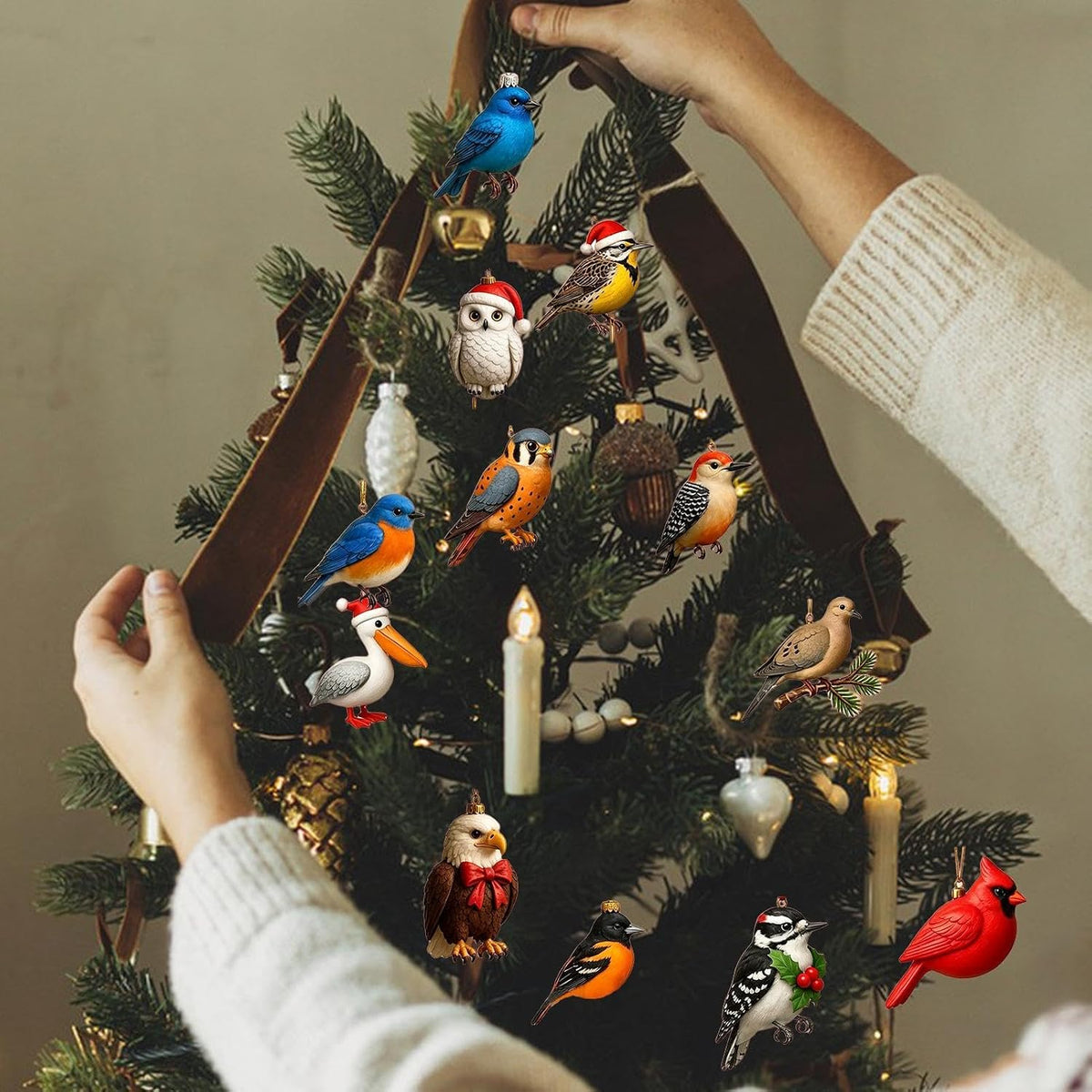 WinterWings – 24-Day Christmas Bird Advent Calendar