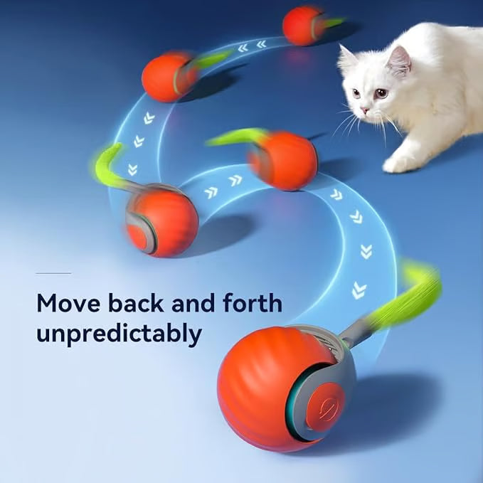 CatChase – Electric Rolling Ball