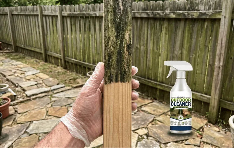 TerraShine – Outdoor Surface Cleaning Solution