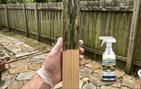 TerraShine – Outdoor Surface Cleaning Solution