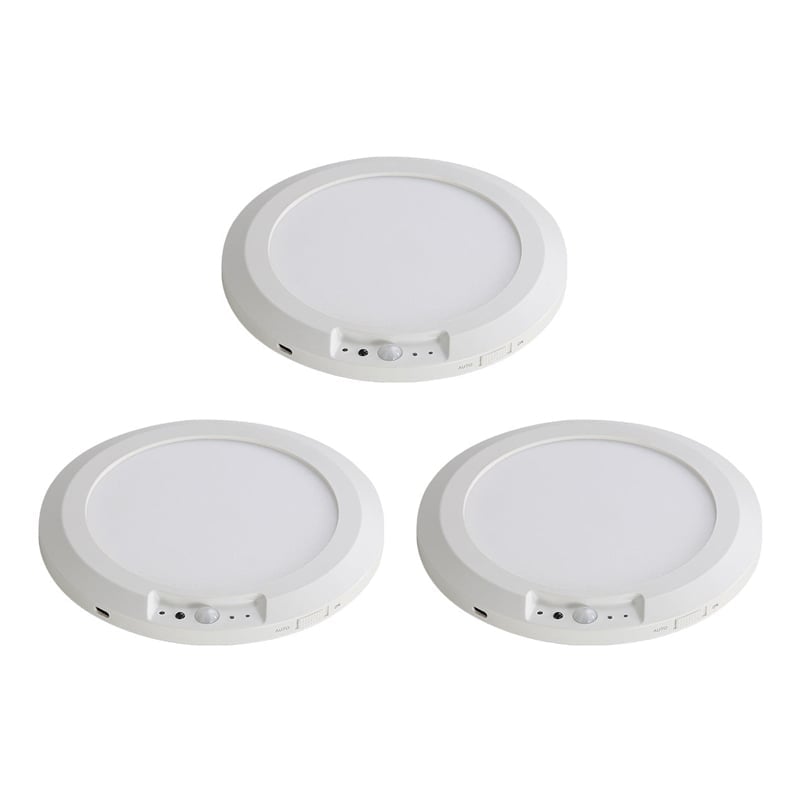 Motion Sensor Ceiling Light