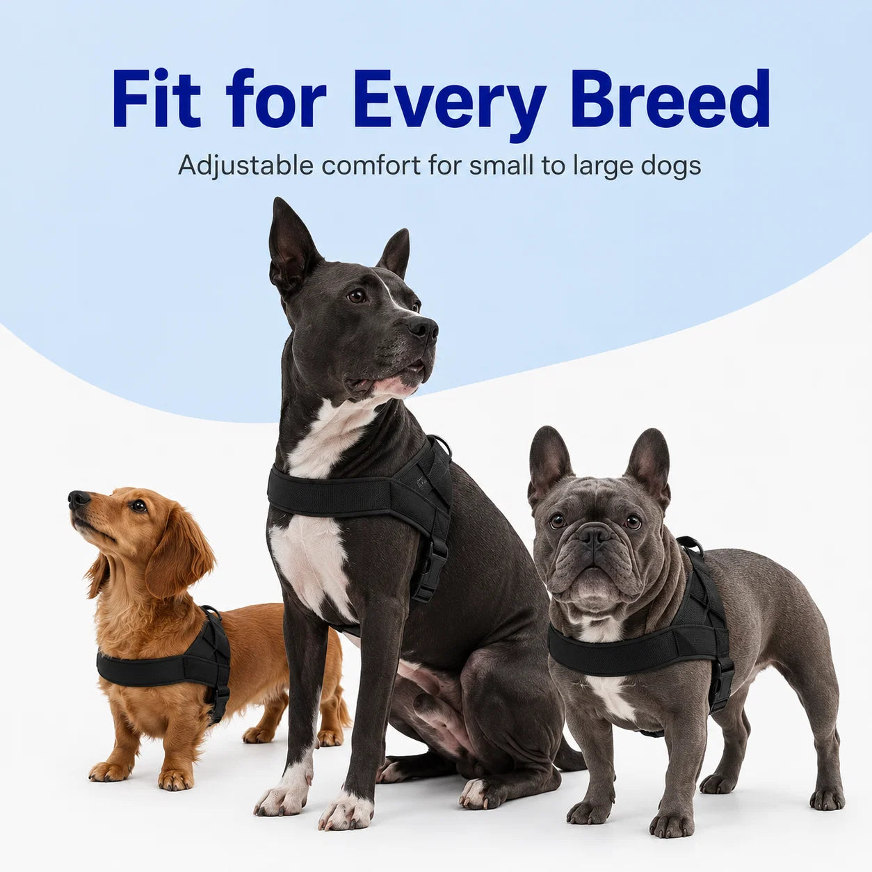 PawGuard – No-Pull Dog Harness