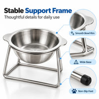PawDine – Stainless Steel Bowl With Raised Stand