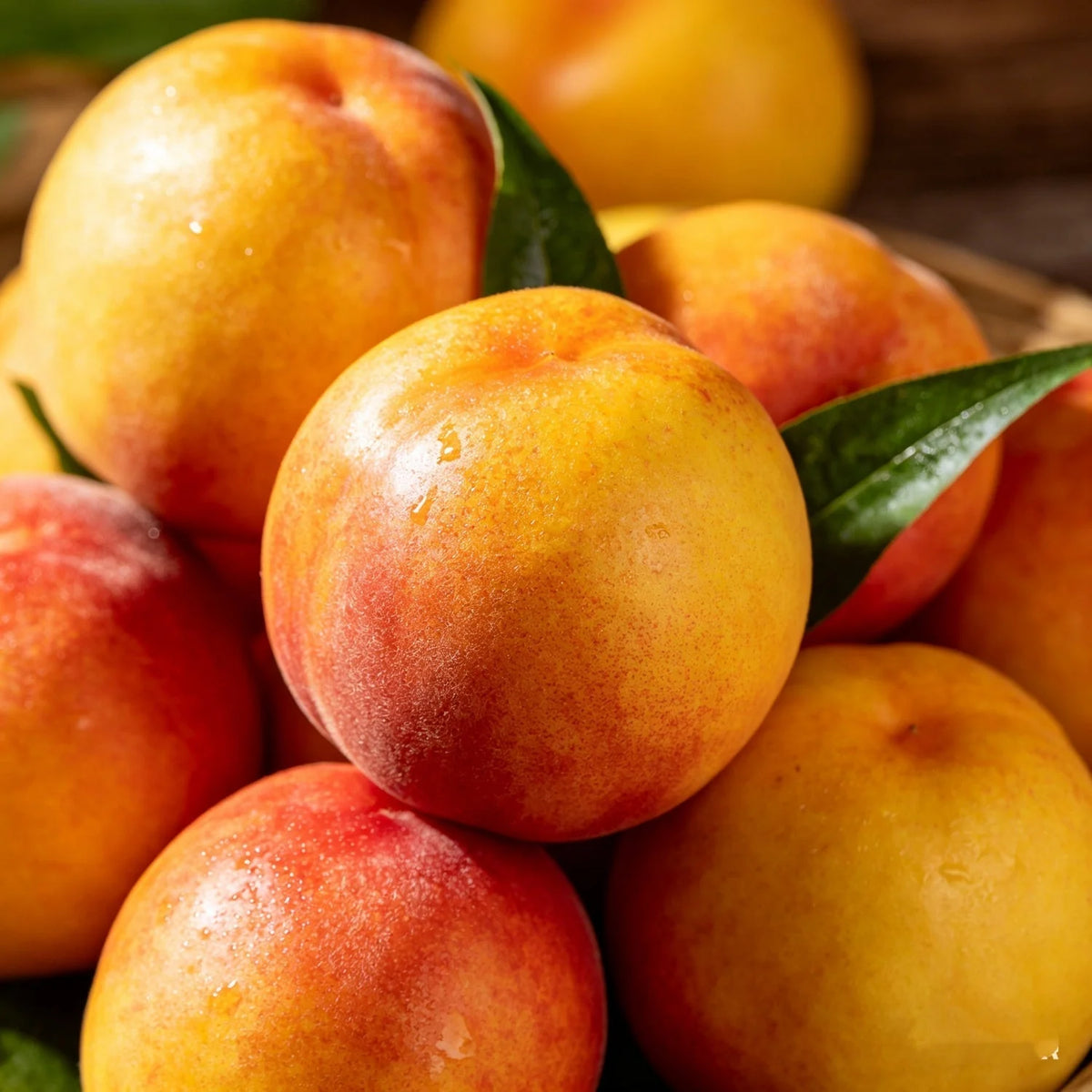 PeachNest – Premium Water Peach Garden Seeds