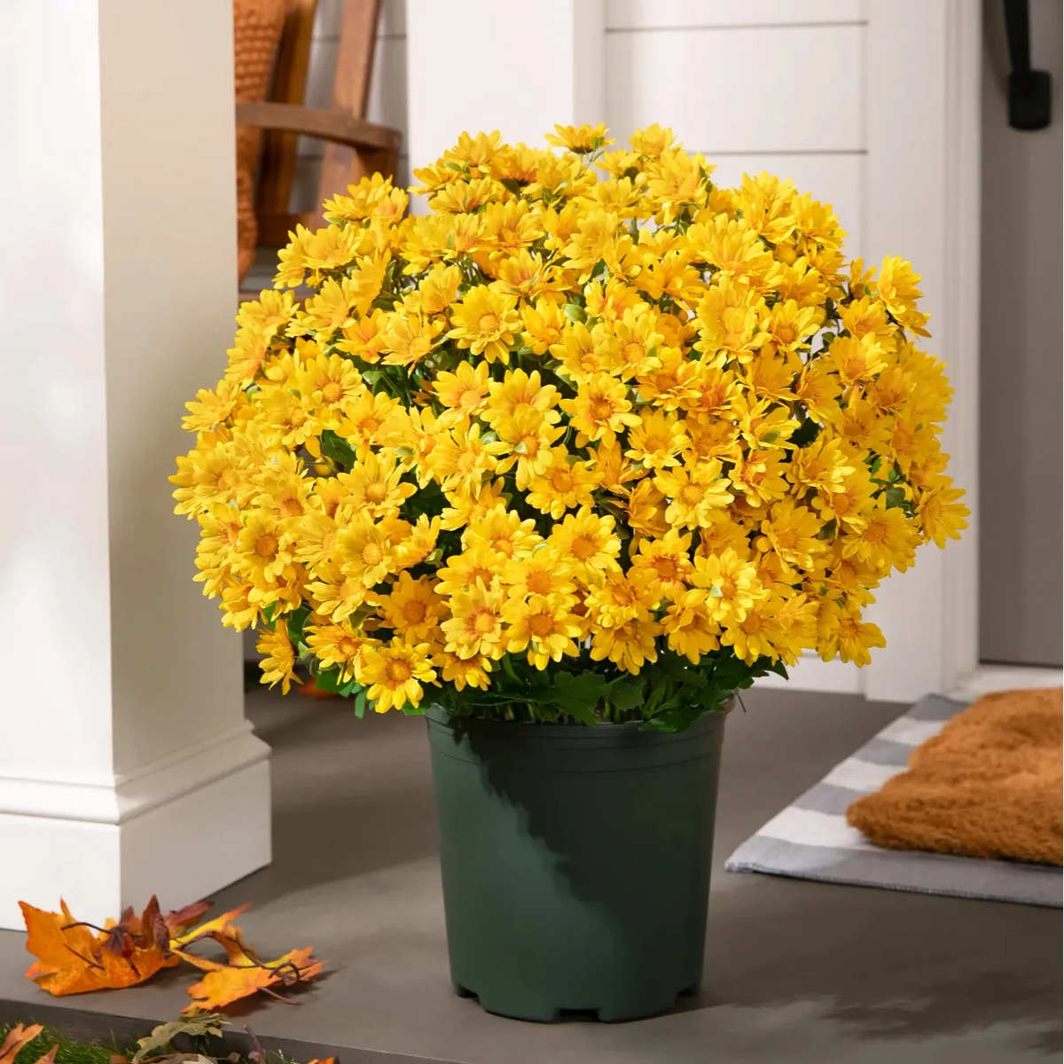 FallPetals – UV-Resistant Seasonal Flower Bundles