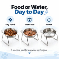 PawDine – Stainless Steel Bowl With Raised Stand
