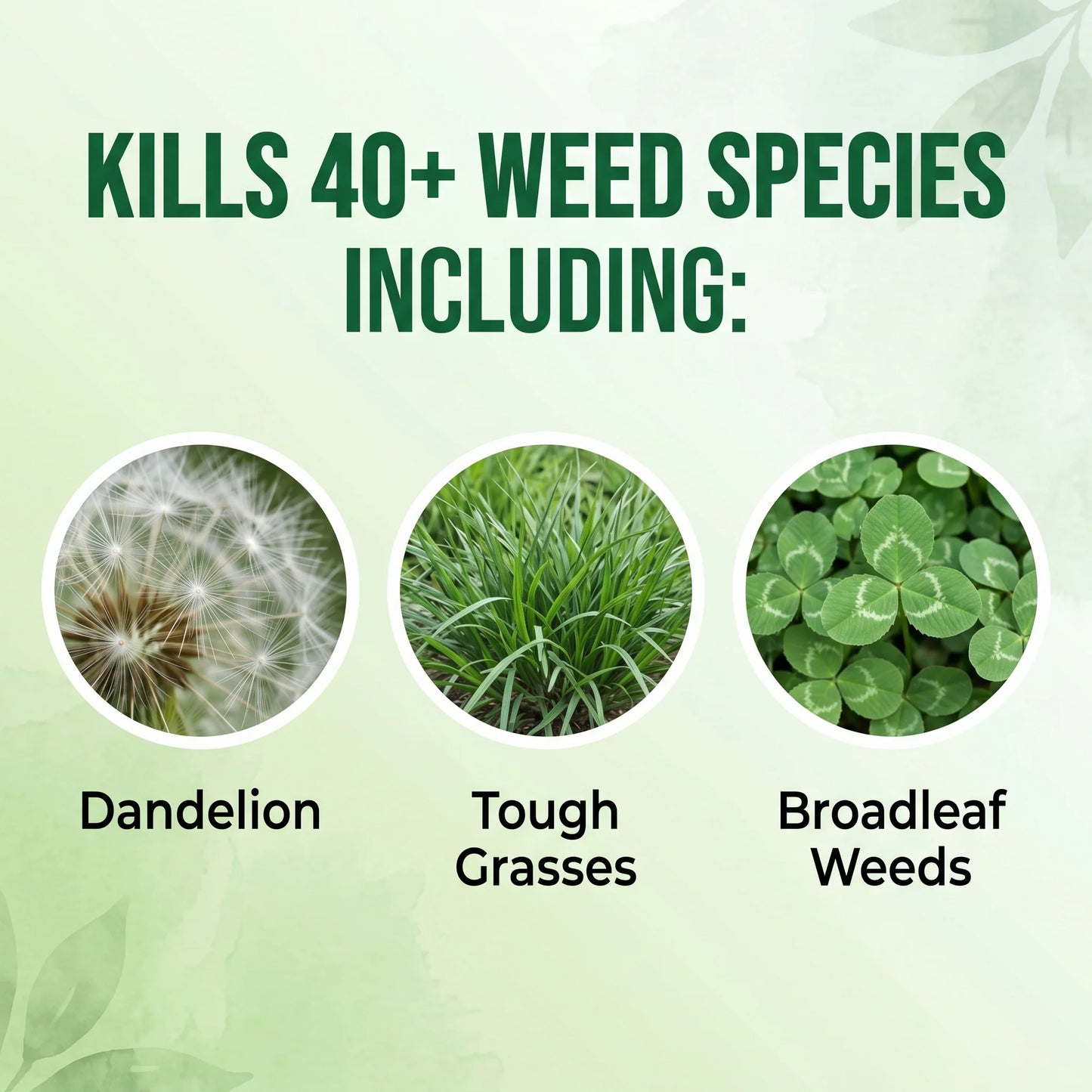 GreenShield – Advanced Weed Control Herbicide Formula