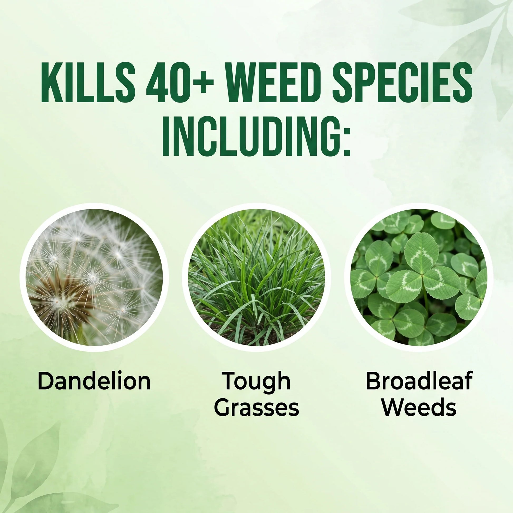 GreenShield – Advanced Weed Control Herbicide Formula
