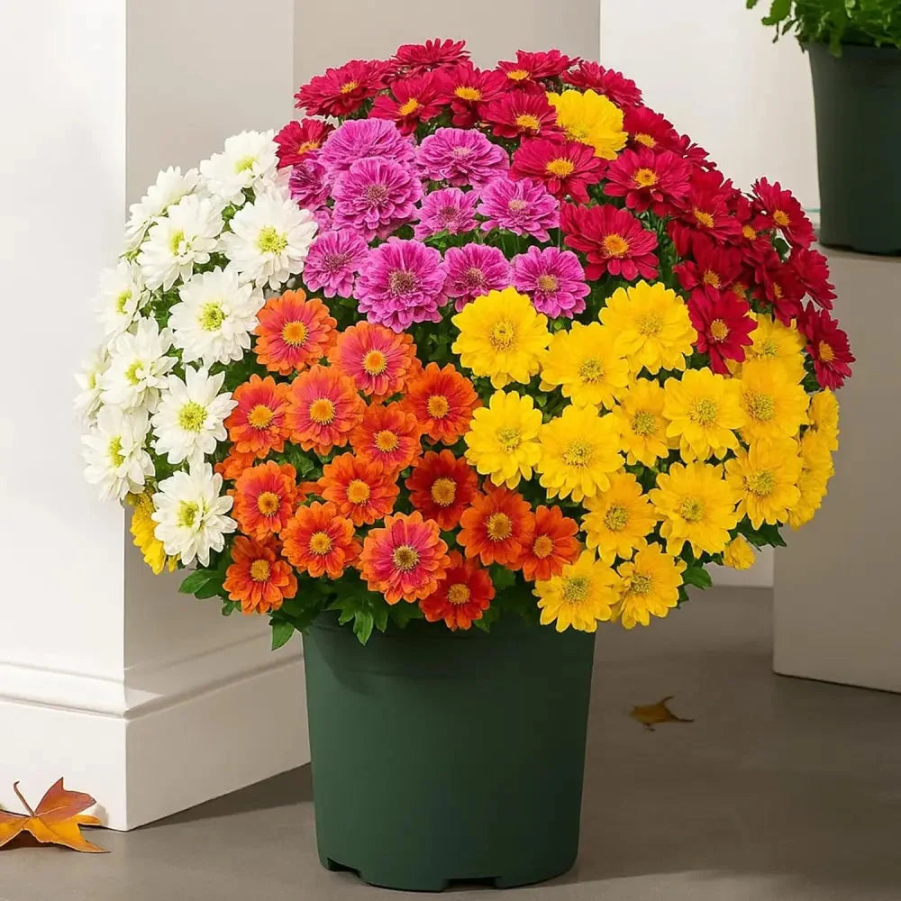 FallPetals – UV-Resistant Seasonal Flower Bundles