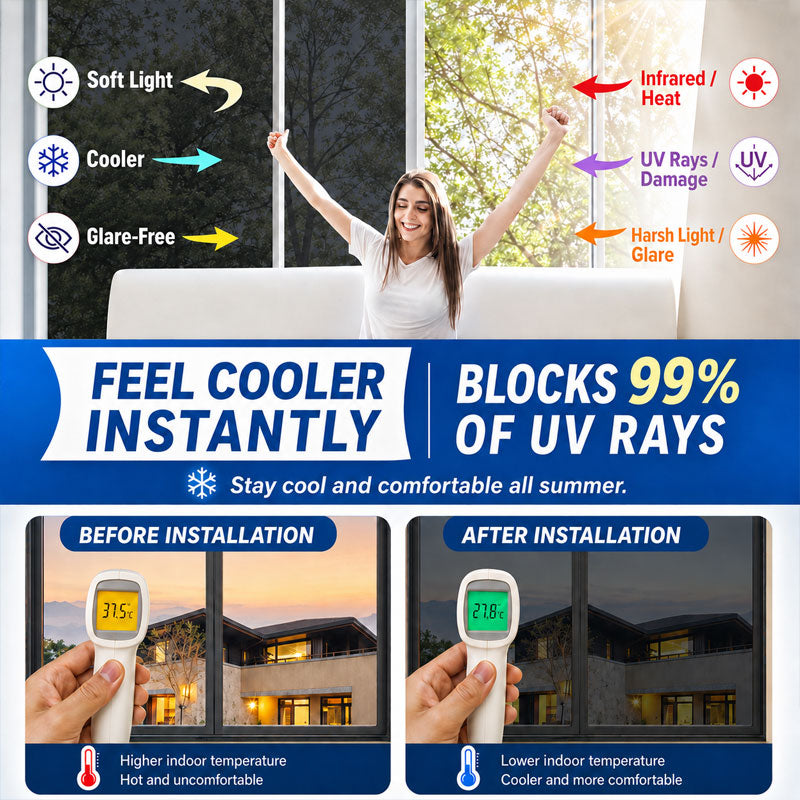 MoldClear – Powerful Mildew Stain Remover