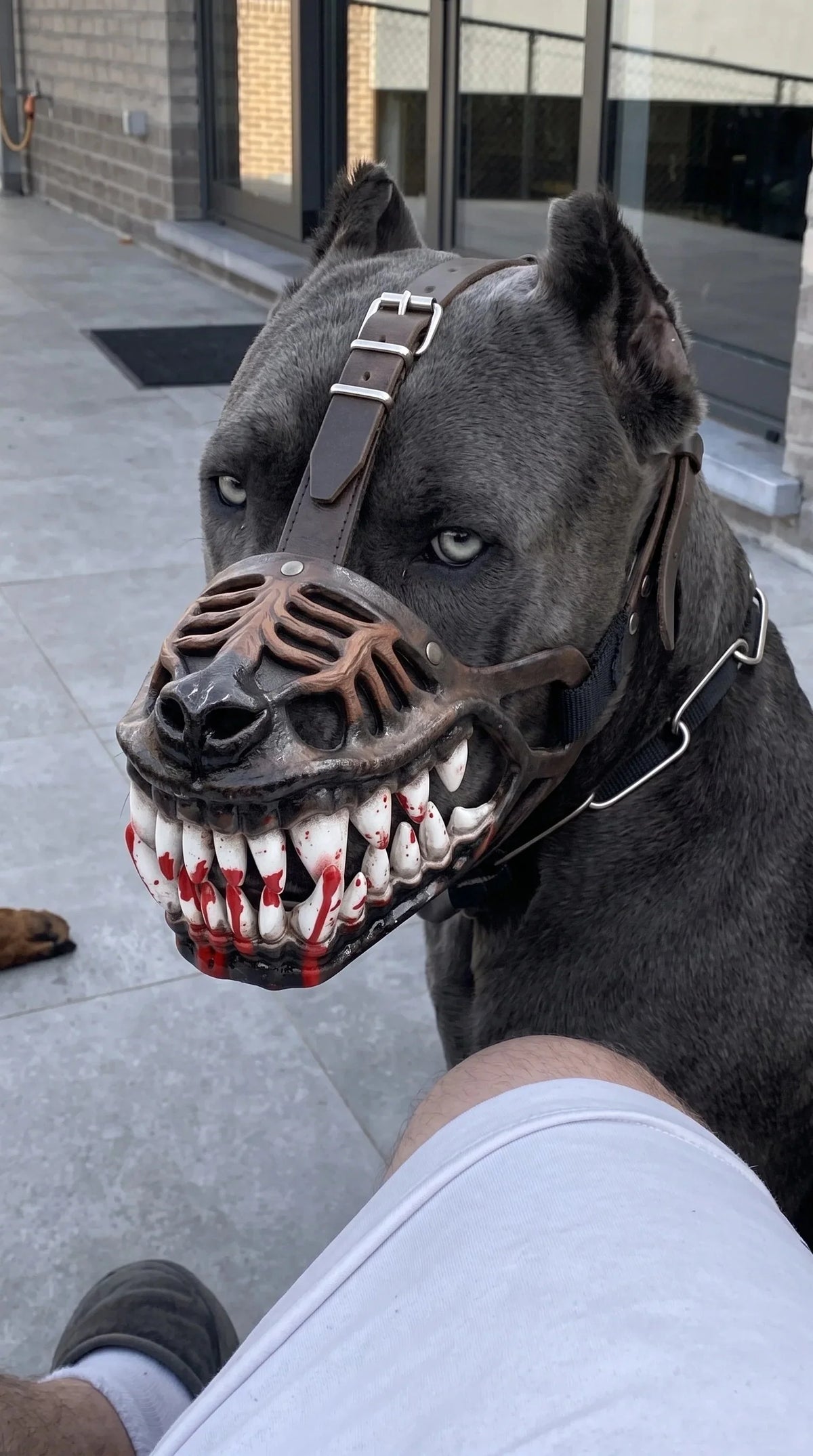 HellHound – Scary Monster Dog Costume Muzzle