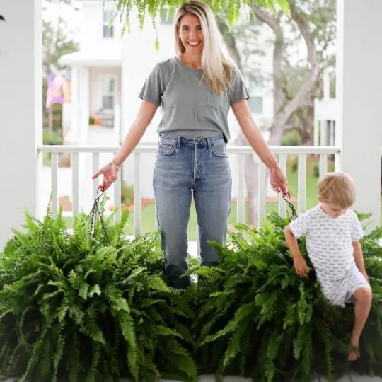 GreenGlow – Realistic Artificial Boston Fern