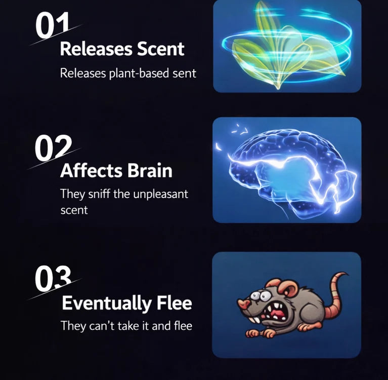 PestAway – Powerful Plant-Based Rat Repellent