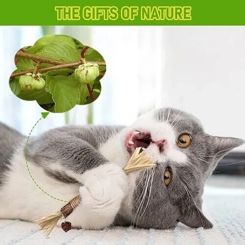 DJIWJDCDA Natural Silvervine Stick Cat Chew Toy
