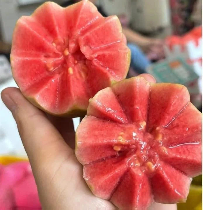 NatureRoot – High Germination Tropical Guava Seeds