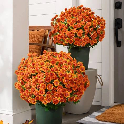 FallPetals – UV-Resistant Seasonal Flower Bundles